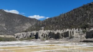 salinera zapotitlan puebla